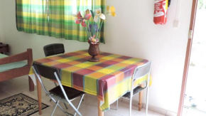 Appartement cosy au Robert - 28 m² avec jardin sublime